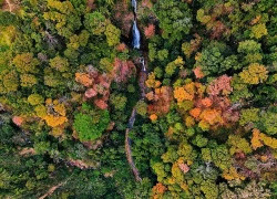 'Tuyệt đối điện ảnh' bằng lăng Măng Đen mùa thay lá