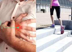 5 bài tập đơn giản với cầu thang tăng sức bền tim mạch