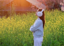 Bản 'cổ tích giữa lưng chừng trời' ở Lai Châu, hoa đào, hoa cải nở đẹp như tranh