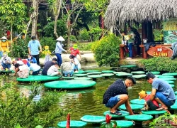 Cần Thơ chủ động nâng chất lượng dịch vụ, sẵn sàng đón khách du lịch Tết Nguyên đán 2026