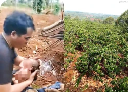 Cô gái 17 tuổi thừa nhận tự sinh con, đem bỏ vì quá sợ hãi