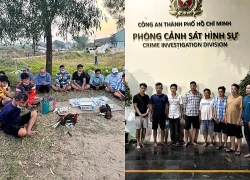 Công an TPHCM phá 10 tụ điểm cá độ đá gà trước Tết Nguyên đán