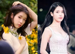 "Em gái quốc dân" IU gặp nguy hiểm tính mạng tại nhà riêng