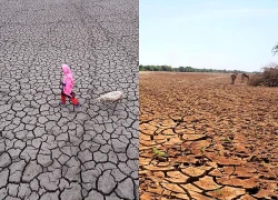 Hạn hán nghiêm trọng đẩy hàng triệu người châu Phi vào cảnh thiếu lương thực