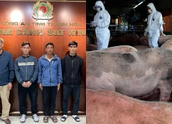 Khởi tố 5 đối tượng mua bán hơn 1 tấn lợn nhiễm bệnh dịch tả