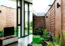 Nhà cấp 4 nở hậu với khu vườn xanh