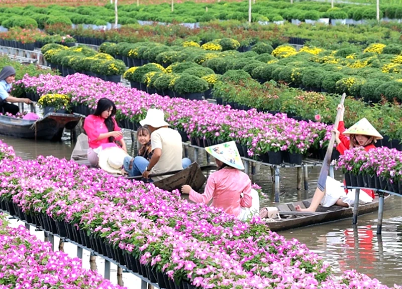 Sa Đéc - tình đất nở hoa, tình người khởi sắc