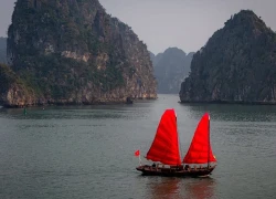 Thuyền buồm hiếm thấy trên vịnh Hạ Long