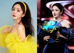 Tiếc cho Dương Mịch