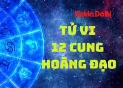 Tử vi ngày 10/2/2026 của 12 cung hoàng đạo: Song Tử dễ bị người khác soi mói, phán xét