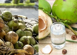 Uống nước dừa thường xuyên có ảnh hưởng gì đến huyết áp?