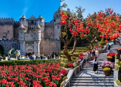 Bỏ túi sổ tay du xuân 2026 trọn gói từ trung tâm Đà Nẵng đến "tiên cảnh" Bà Nà