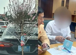 Buộc cành đào che biển số, tài xế ô tô biển '80A' bị phạt 23 triệu đồng