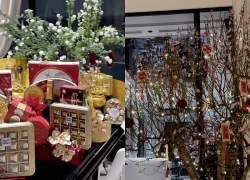 Chỉ một hành động nhỏ, vợ Thành Chung nhận mưa lời khen vì hiếu thảo và chu đáo hết mực với gia đình nội ngoại