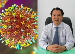 Chủ động ứng phó nguy cơ virus Nipah