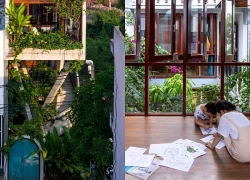 Nhà hình tổ chim: Không gian sống mềm mại giữa phố thị