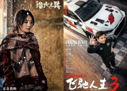 Top 5 phim Hoa ngữ dành cho dịp Tết sắp tới