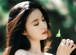 Tử vi Chủ Nhật 15/2/2026 của 12 con giáp: Dần - Ngọ ngồi mát đếm tiền, sự nghiệp một bước lên tiên, Mão - Thân công việc trắc trở, vận trình tài lộc ảm đạm