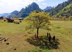 Về Bản Tà Phình ngắm mùa xuân mộc mạc của người Mông ở Sơn La