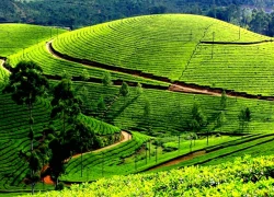 Về miền 'non xanh nước biếc' đón một mùa xuân khác biệt