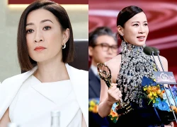 Xuất hiện phim Hoa ngữ lập công vực dậy cả nhà đài, nữ chính còn đạt kỷ lục 59 năm mới có 1 lần mới oách