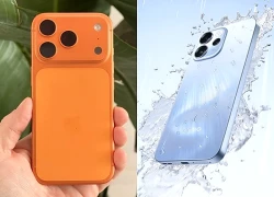 6 smartphone vừa sang, vừa chụp ảnh xịn chơi Xuân