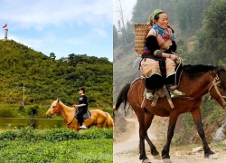 Dấu chân ngựa và hành trình gọi bản sắc