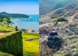 Gợi ý điểm ngắm cảnh lý tưởng ở Hàn Quốc mùa xuân khiến du khách mê mẩn