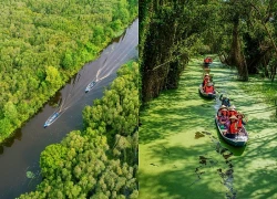 Làng nổi Tân Lập, chốn du xuân 'chữa lành' giữa rừng tràm miền Tây