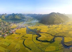 Làng Quỳnh Sơn: Trải nghiệm Tết Việt Bắc tại ngôi làng du lịch tốt nhất thế giới