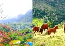 Lên 'cổng trời' Mường Lống tìm dấu vó ngựa xưa