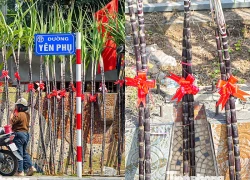 Mía lộc thắt nơ đỏ đổ bộ đường phố Hà Nội chờ Giao thừa