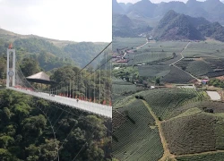 Mộc Châu rực rỡ sắc xuân 2026: Hành trình khám phá thung lũng hoa mận trắng