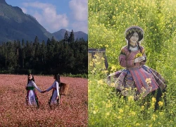 Sắc xuân trên Cao nguyên đá