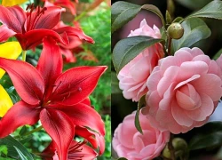 Sau ngày 29 Tết Bính Ngọ, 3 con giáp thoát số vất vả, mở cửa đón vận may, làm 1 hưởng 10, có tiền thoải mái tiêu xài