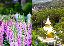 Vẻ đẹp tựa tranh vẽ của Thiền viện Trúc Lâm bên hồ Tuyền Lâm thơ mộng