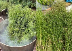 Xông lá mùi già ngày Tết, không phải ai cũng nên làm