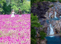 Yang Bay - Bản giao hưởng mùa xuân giữa đại ngàn