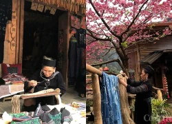 Cát Cát: Điểm hẹn mùa xuân Tây Bắc