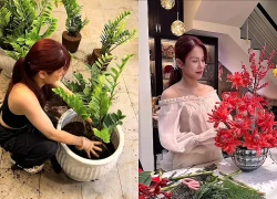 Diệp Lâm Anh gây bão với loạt clip nữ công gia chánh, phản hồi thẳng thắn khi netizen réo tên Vũ Thúy Quỳnh