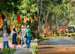 Du lịch Cần Thơ, An Giang bứt tốc dịp Tết Bính Ngọ 2026