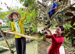 Du xuân ở miệt vườn Phong Điền