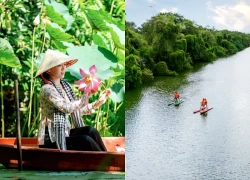 Kiến trúc "thành phố thẳng đứng" tại Điểm tham quan Khu bảo tồn Đồng Tháp Mười