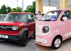 Ô tô điện giá rẻ ở Việt Nam: Chỉ từ 197 triệu đồng, trang bị sang, xịn vượt tầm giá