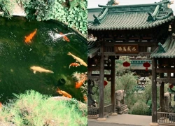 Pleiku: Chiêm ngưỡng vẻ đẹp kiến trúc Á Đông tại chùa Minh Thành ngày đầu năm