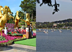 Mùng 3 Tết, du khách đổ về Đà Lạt, khách sạn khu trung tâm kín phòng