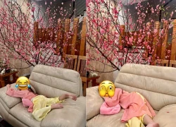 Sáng Mùng Một, đưa con gái đi chúc Tết mà chủ nhà nhìn chằm chằm, đến khi ra về tôi mới hiểu lý do