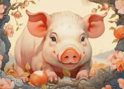 Tử vi tuổi Hợi năm 2026 chi tiết về sự nghiệp, tài lộc