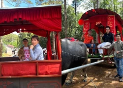 Từ xe trâu kéo đến hướng đi du lịch cộng đồng Măng Đen