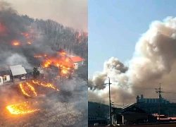 Cháy rừng bùng phát tại nhiều địa phương của Hàn Quốc